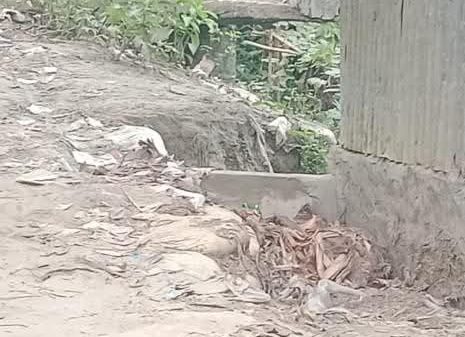 শ্যামগাতি গাবগাছি হিন্দু পাড়ার রাস্তাটি জনগণের চলাচলের জন্য একটি মরণ ফাঁদ মোঃ শহিদুল ইসলাম খান সিরাজগঞ্জঃ সিরাজগঞ্জ জেলা বেলকুচি উপজেলায় শ্যামগাতি গাবগাছি বাজার থেকে ৫০০ গজ পশ্চিমে ৩০০ গজ উত্তর দিকে দিকে হিন্দু পাড়া নামে একটি ঐতিহ্যবাহী বিশাল বড় গ্রাম রহিয়াছে ,যেখানে কয়েক হাজার হিন্দু পরিবার এবং সেই সাথে অনেক মুসলমান পরিবার একসাথে বসবাস করে আসছেন এই রাস্তাটি সরকারি ম্যাপে বিদ্যমান । স্বাধীনতা যুদ্ধের পর থেকে এই রাস্তাটি উক্ত পাড়ার লোক ব্যবহার করে আসছেন শুধু তাই নয় এই রাস্তাটির সাথে ২০ থেকে ২৫ টি পারা মহুলার সংযোগ রাস্তা রহিয়াছে প্রতিদিন হাজার হাজার লোক এই রাস্তায় দিয়ে চলাচল করে থাকেন , ছোট এই রাস্তায় দুটি ছোট কালভার্ট বা ব্রিজ রহিয়াছে , এছাড়াও এই মহল্লায় শ্রী সুকুমার দাস নামক একজন কবিরাজ রহিয়াছেন তিনি সারা সপ্তাহে বিভিন্ন ধরনের রোগী চিকিৎসা করে থাকেন, তিনি সপ্তাহে শনিবার এবং মঙ্গলবার নতুন রোগী দেখেন, এছাড়াও সপ্তাহের অন্য পাঁচ দিন পুরাতন রোগী দেখে থাকেন, শনিবার এবং মঙ্গলবার তাহার কাছে কবিরাজি চিকিৎসার জন্য সিরাজগঞ্জ জেলা এবং কি অন্যান্য জেলা থেকে বিভিন্ন গাড়ি নিয়ে শতশত রোগী আগমন করেন এবং কি সপ্তাহর অন্য পাঁচ দিনও অনেক রোগী তাহার কাছে কবিরাজি চিকিৎসার জন্য আগমন করে থাকেন, ,অনেক রোগী আছেন যারা হাঁটতে পারেন না সেই সমস্ত রোগীগণ গাড়িতে উক্ত কবিরাজের বাড়িতে গমন করেন। এছাড়াও এই এলাকার কেউ বড় ধরনের সমস্যায় বা অসুস্থ হলে যেমন মা-বোনদের সিজার বা অন্য কোন বড় রকম রোগে অসুস্থ হলে তাহারা এই রাস্তা দিয়েই গাড়িতে চরে প্রদান রাস্তায় উঠে বেলকুচি শহরের দিকে যান এবং উক্ত পারামহল্লা এবং তাহার সাথে যে সমস্ত রাস্তার সংযোগ রহিয়াছে সকল লোক এই রাস্তা দিয়েই সকল ধরনের পণ্য নেওয়া আনা করে থাকেন। রাস্তাটি বালু মাটি দিয়ে ভরাট করা এবং রাস্তার দুই সাইডে বড় বড় ডোবা সেই কারণে বৃষ্টি হলেই রাস্তার সমস্ত বালু মাটি বৃষ্টির পানির সাথে ডোবায় চলে যায় প্রতিবছর স্থায়ী প্রতিনিধি এবং এলাকার লোকজন নিজস্ব অর্থায়নে রাস্তায় মাটি ভরাট করে থাকেন কিন্তু সেটা কোন কাজের কাজ হয় না ,গ্রীষ্মকালে এই রাস্তা দিয়ে হাঁটলে পা টাখনু পর্যন্ত বালুতে ডুবে যায় । বালুমাটি বৃষ্টির পানিতে ডোবায় গিয়ে জমা হয় যার দরুন কালভার্ট বা ব্রিজ দুটি একদম মাটি শূন্য হয়ে পড়ে, ব্রিজের দুই সাইডের বালু মাটি গুলো ব্রিজের এক কোনা দিয়ে বের হয়ে ডোবার দিকে চলে যায় ব্রিজ বা কালভার্ট দুটি মাটি শূন্য হয়ে পড়ে যার দরুন ব্রিজ দুটি ভাসমান অবস্থায় রহিয়াছে, ব্রিজ দুটি ভেঙে ক্ষতবিক্ষত এবং কি ব্রিজের সকল সাইডে ফাটল ধরেছে বর্ষা হলে ব্রিজ বা কালভার্ট দুটি হয়তো ডোবায় তলিয়ে যেতে পারে । বর্ষা হলে রাস্তার সমস্ত মাটি বৃষ্টির পানির সাথে ডোবায় গিয়ে জমা হয় জনগণের চলাচলের জন্য অনুপযোগী হয়ে পড়ে এ রাস্তায় বর্ষাকালে এলাকার সকল জনগণ চলাচল করতে পারেন না বিগত সময়ে এলজিইডি এবং বেলকুচি উপজেলা প্রশাসন কয়েক দফায় রাস্তাটি পরিদর্শন করলেও স্থায়ী কোন কাজ করেননি । উক্ত পাড়া বা মহল্লার এলাকার সকল জনগণের একটাই দাবি ,রাস্তাটি স্থায়ীভাবে মেরামত এবং কালভার্ট বা ব্রিজ দুটি পুনরায় মেরামত করে রাস্তাটি ভালো মাটি দিয়ে ভরাট করে স্থায়ীভাবে পাকা বা ঢালাই করে দিলে হাজার হাজার জনগণের চলাচলের ক্ষেত্রে অনেক অনেক উপকৃত হবেন ।